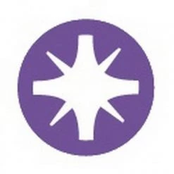 TOURNEVIS POZIDRIV 2X125 MM SAM OUTILLAGE - TA2PZ125